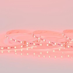 ΤΑΙΝΙΑ LED 5M 16W 24V RGBW + 6500K 60L/M IP20 PRO
