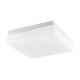 Ceiling Light  IP44 White Opal Glass LED E27 1x40W  L:20.5  H:7cm 6110041