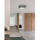Ceiling Lamp Steel Gray Metal & Acrylic Diffuser LED E27 2x40W D:35 H:13cm 826807