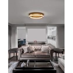 Antique Gold Brass Aluminium & Acrylic LED 60 Watt 230 Volt 3530Lm 3000 IP20 D: 60 H1: 4 H2: 12 cm 9285620