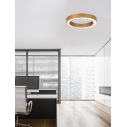Brass gold Aluminium & Acrylic LED 50W 230 Volt 3317Lm 2700K - 4000K IP20 D1: 60 D2: 46 H:8 cm 9345634
