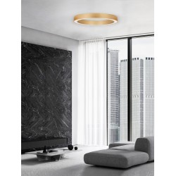 Brass Gold Aluminium & Acrylic LED 60 Watt 230 Volt 3427Lm 2700K - 4000K IP20 Included Remote Control D1: 80 D2: 66 H: 8 cm 9345637
