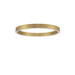 Triac Dimmable Brass Gold Aluminium& AcrylicLED 60 Watt 230 Volt3389 Lm 3000K IP20D: 100 W: 4 H: 6.5 cm