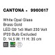 Απλίκα Φωτιστικό Τοίχου CANTONA 9960617 Λευκό-Χρυσό Nova Luce