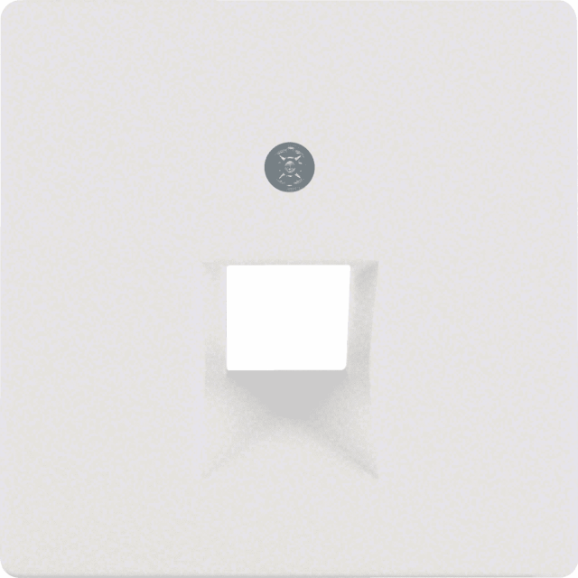 B.ΠΛΑΚΙΔΙΟ RJ11/RJ45 ΛΕΥΚΟ Q.1/Q.3