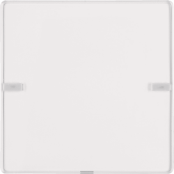 B. ΜΠΟΥΤΟΝ KNX 2 ΠΛΗΚΤΡΩΝ ΛΕΥΚΟ Q.1/Q.3