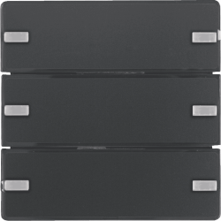 B. ΜΠΟΥΤΟΝ KNX 6 ΠΛΗΚΤΡΩΝ ΑΝΘΡ Q.x