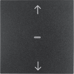 QL ΜΠΟΥΤ. ΡΟΛΩΝ ΑΝΘΡ ΜΑΤ S.1/B.x