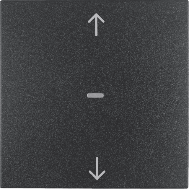 QL ΜΠΟΥΤ. ΡΟΛΩΝ ΑΝΘΡ ΜΑΤ S.1/B.x