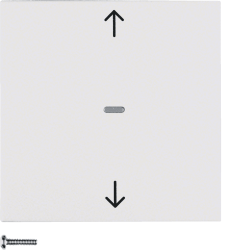 QL ΑΣΥΡ.ΜΠΟΥΤ.ΡΟΛΩΝ ΛΕΥΚΟ ΜΑΤ S.1/B.x